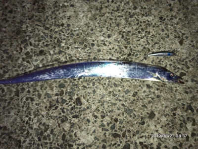 回遊とランガン