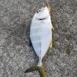 日が暮れるまで