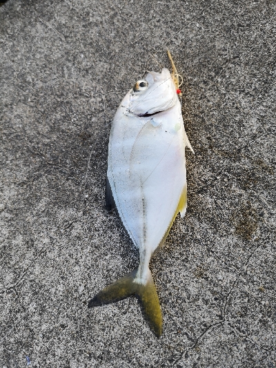 日が暮れるまで