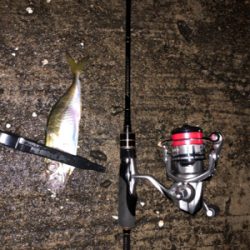 試合ついでの年1食コン釣行