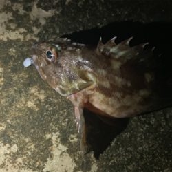 雨降る中いつも通りの場所へ