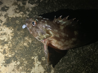 雨降る中いつも通りの場所へ
