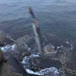 光量とボイルの関係性