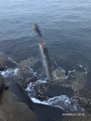 光量とボイルの関係性