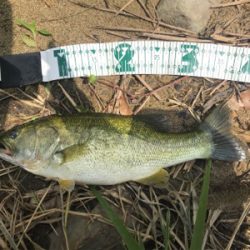 雨上がりのあと