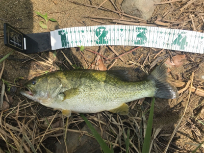 雨上がりのあと