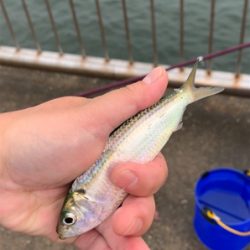 初心者釣り教室に参加しました。