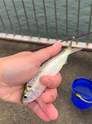 初心者釣り教室に参加しました。