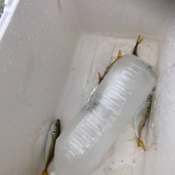 マナー違反な釣り人…