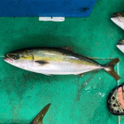 東田丸 ジギング