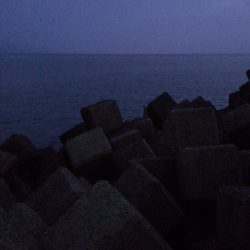 松前テトラ穴釣りでカサゴ25センチ