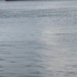 尺まであと一歩