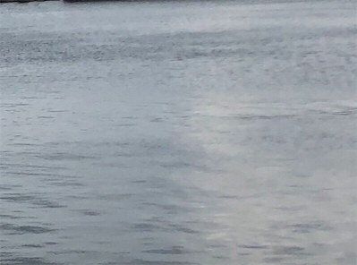 尺まであと一歩