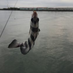 思ってたんと違う…