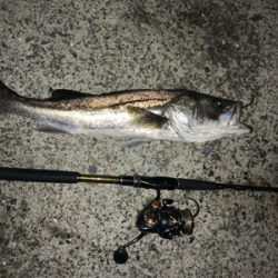 ナイトゲームでもコアマン