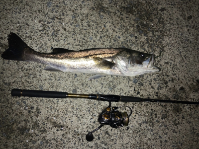 ナイトゲームでもコアマン