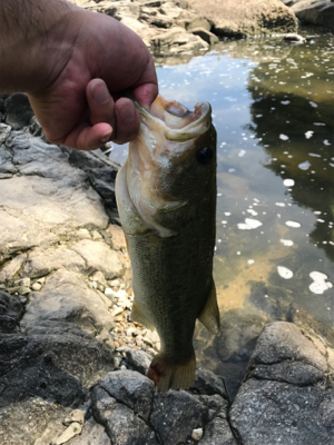 サイトフィッシング