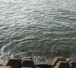 初めてのウキ釣り