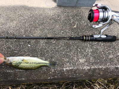 淀川水系 子バス祭り