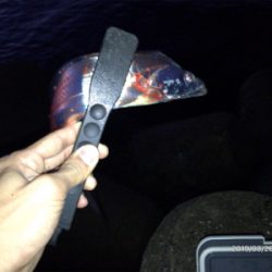 マッチザベイト