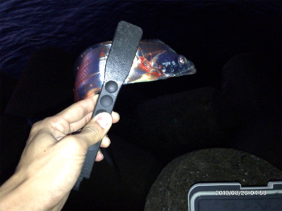 マッチザベイト