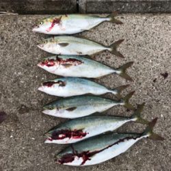 7時頃からお祭りだ〜!