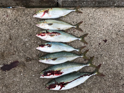 7時頃からお祭りだ〜!