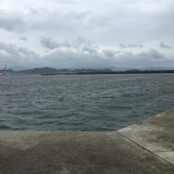 タチウオと青物狙い