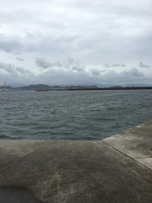 タチウオと青物狙い