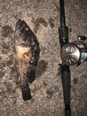 シャローエリアでお遊び