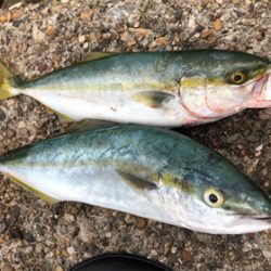 雨前ツバッシング