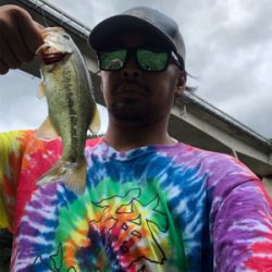 フリックシェイクで4本