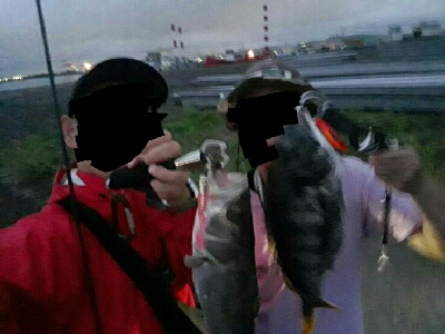 チヌチヌおチヌ