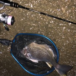 バイク釣行 gsx250r