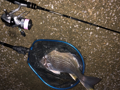 バイク釣行 gsx250r