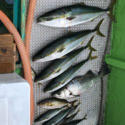 孝洋丸 落とし込み