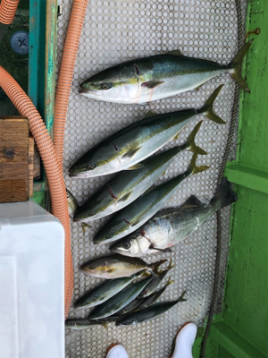 孝洋丸 落とし込み