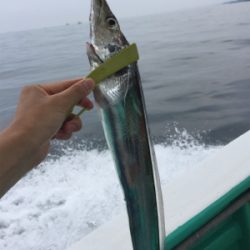 船タチウオ釣行