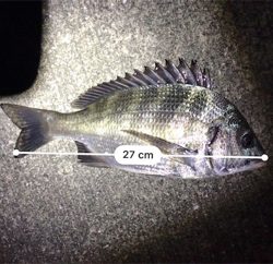 ちょこっと釣行