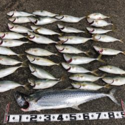 ルアーで初の大爆釣！@沖堤防