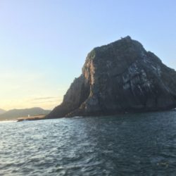 秋らしくなりました。