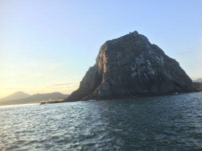 秋らしくなりました。