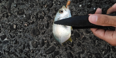 アシストフック