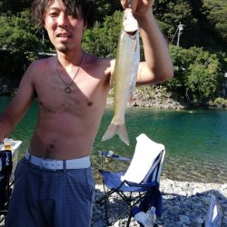 初渓流でウグイ