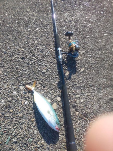 新ロッド粘り勝ち