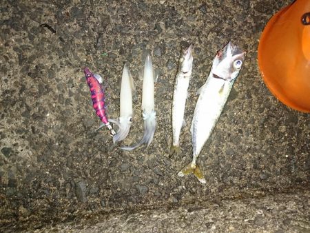 雨上がりの挑戦