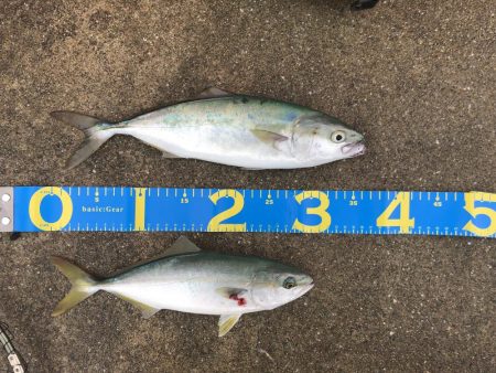 ショアジギング