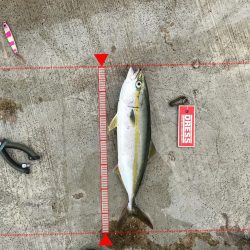 8月30日神戸空港ツバス祭り