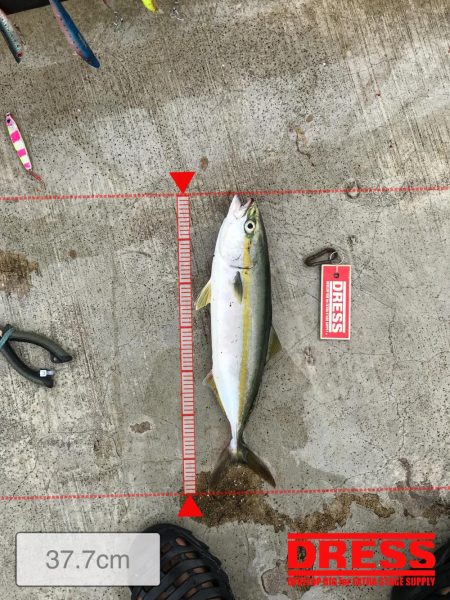 8月30日神戸空港ツバス祭り