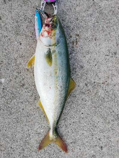 ちょっと成長してる